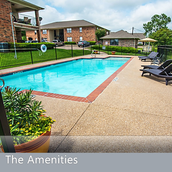 Features & Amenities